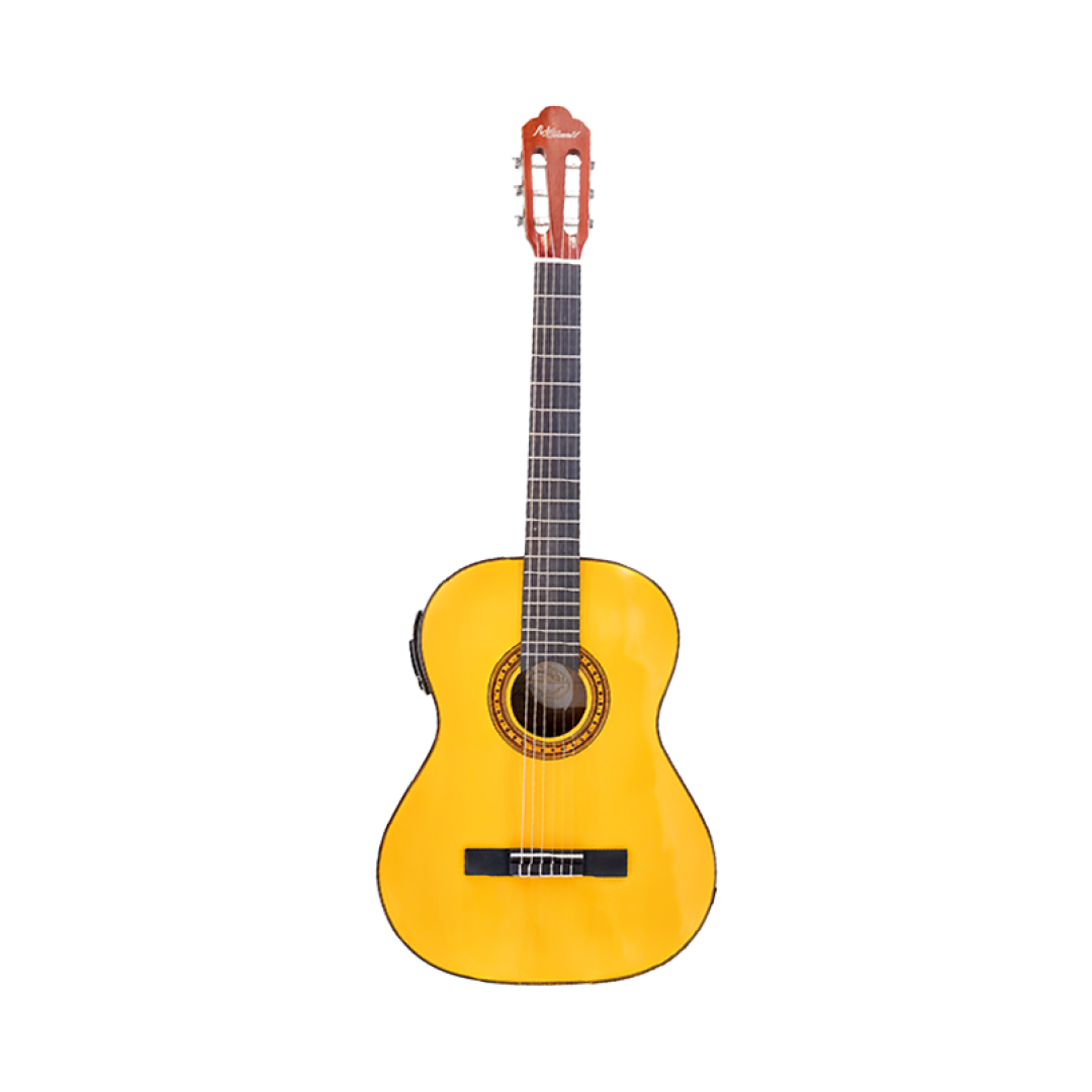 Power Acoustik GTR-AMBER 41" Handmade Natural Electric Guitar | Full-Size Digital Guitar Kit for Beginners & Intermediates with Picks, Strap, Strings, Tuner & Case