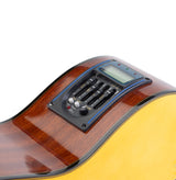 Close-up of the tuner and controls on the side of an acoustic guitar