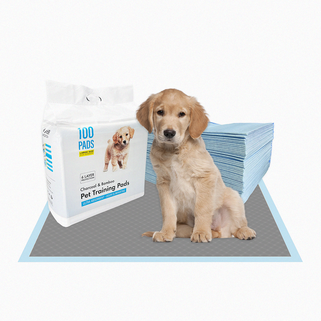 Puppy sitting on pet training pads with packaging in the background